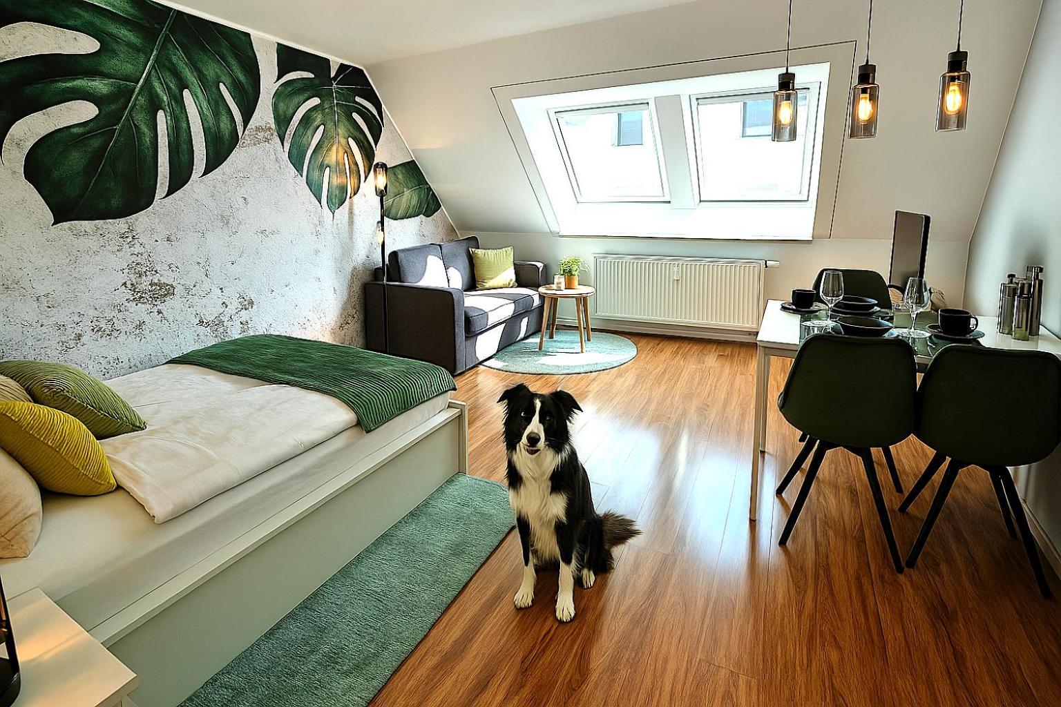 Homely Stay Serenity Greens - Stylisch Studio-Apartment With Kitchen - 10 Min To Central Station, Pet Friendly Munich Luaran gambar